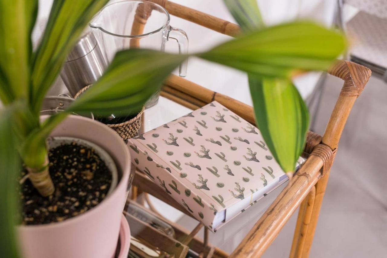 タオ Casa Botanicaヴィラ エクステリア 写真