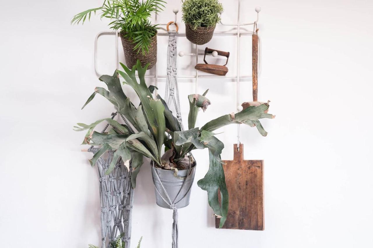 タオ Casa Botanicaヴィラ エクステリア 写真